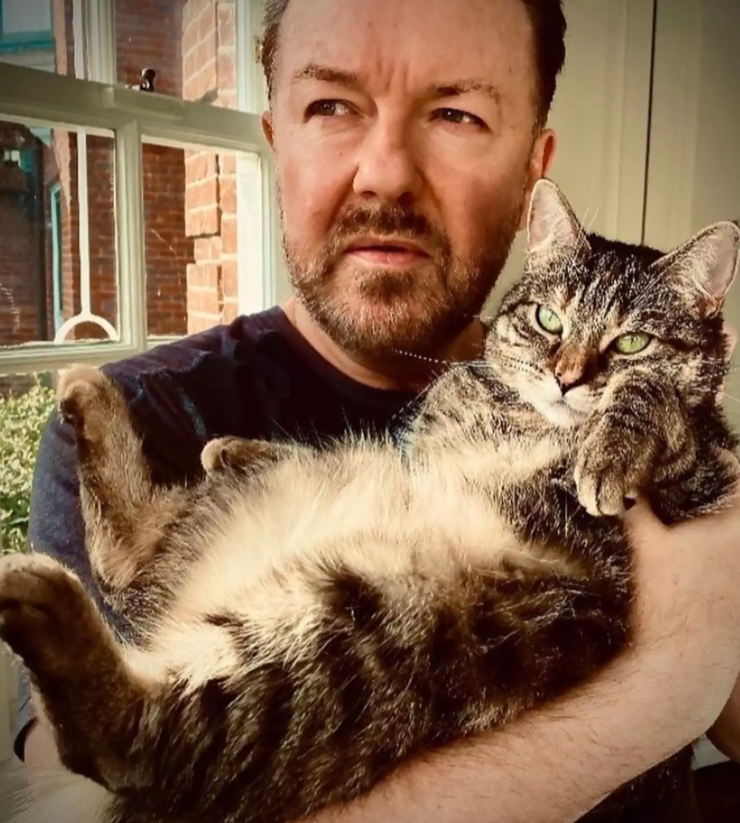 The comedian said he worries enough over his cat, never mind children.