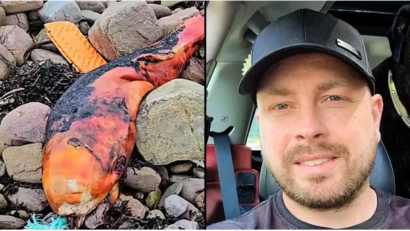 Experts can't work out what strange orange creature is that washed up on UK shore