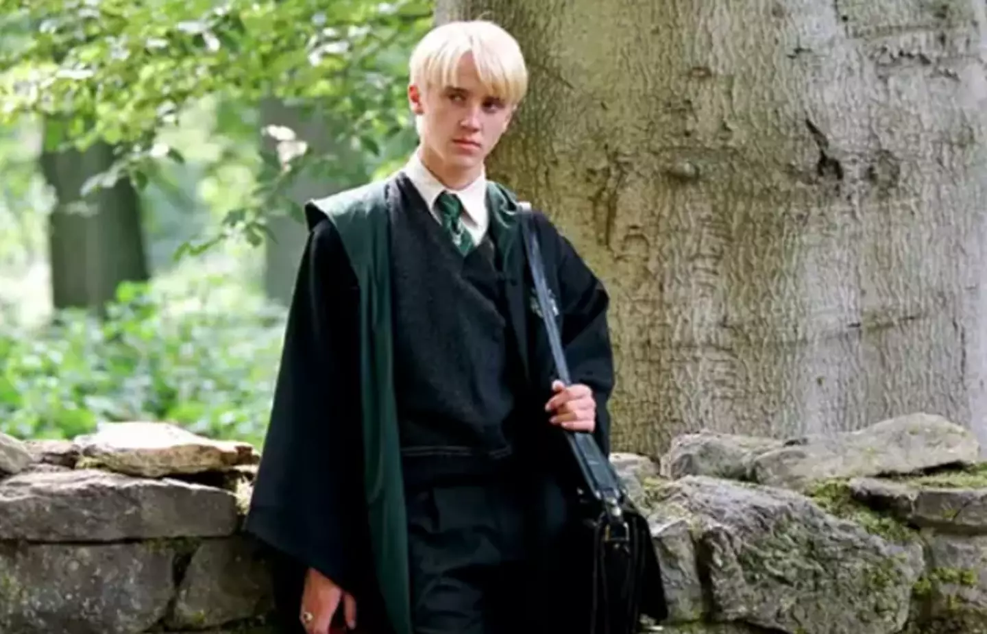 Tom Felton will be reprising the role 24 years on from his first appearance in the Wizarding World (Warner Bros.)
