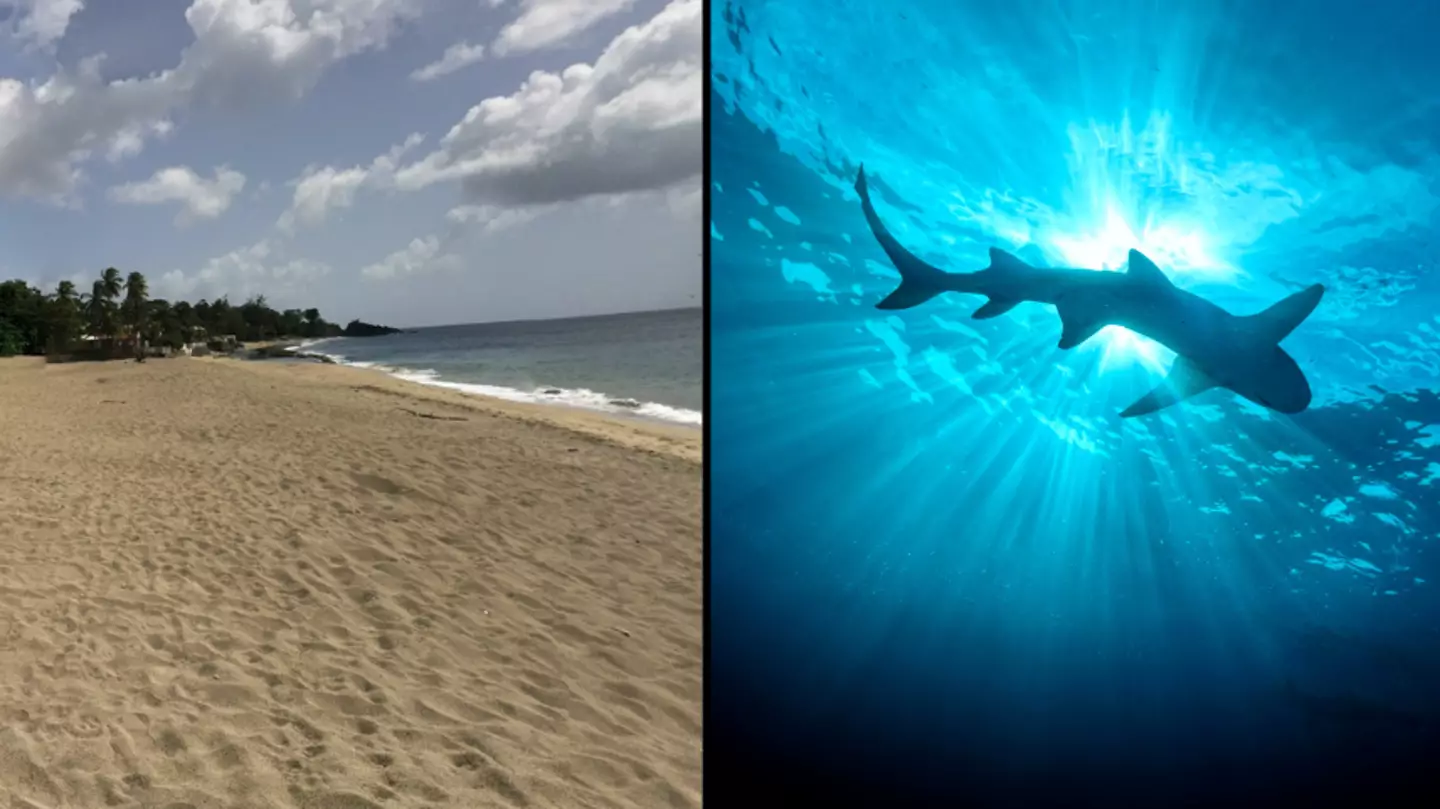 Getty stock image/Google street view