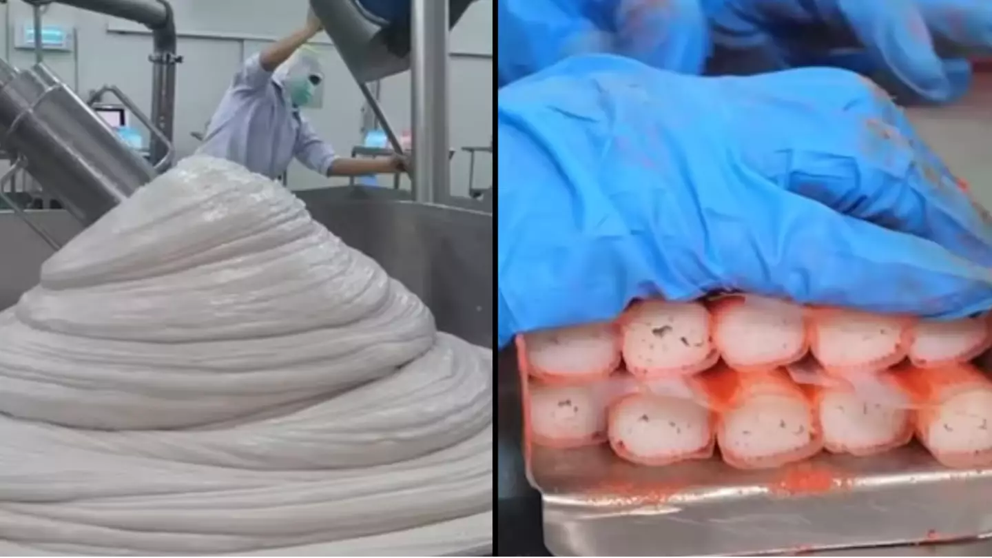 Crab stick-eaters are seriously disturbed after seeing how they are actually made