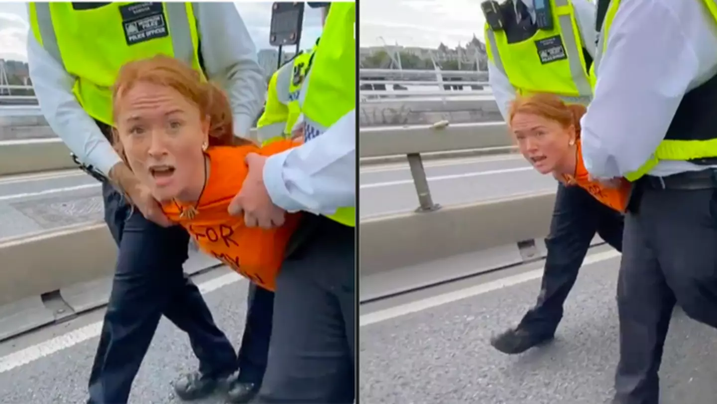 Oil protester gives remarkably composed interview while being carried away by police