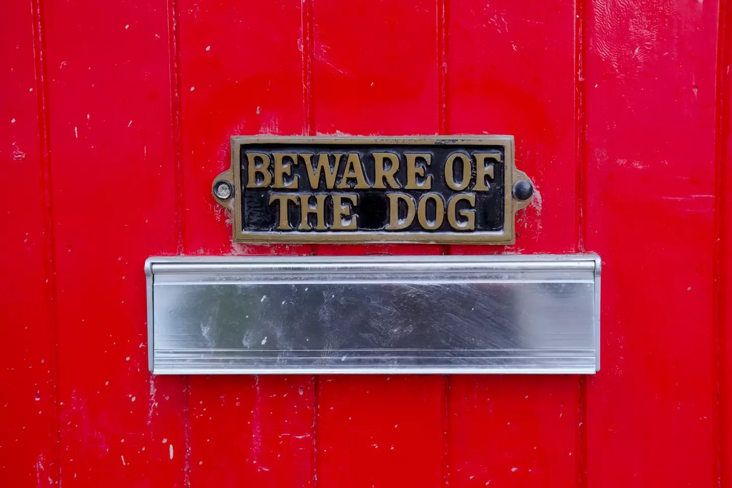 Royal Mail said that about 42 dog attacks affect their staff each week (Getty Stock Photo)