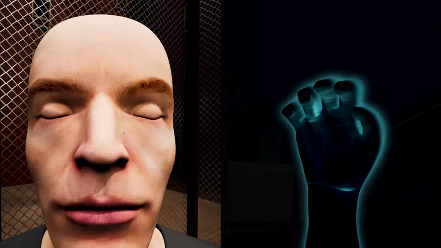 People 'can't understand' simulation that shows what people would see if they had no eyes