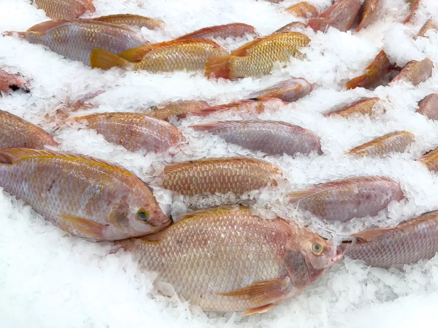 The specials menu all has to do with 'inventory'. (Getty Stock Images)