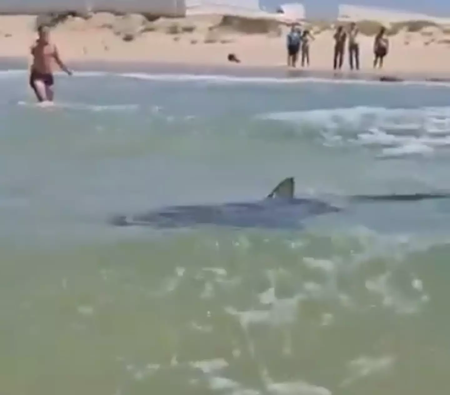 A friend of the man has since revealed that he was warned about entering the water (X)