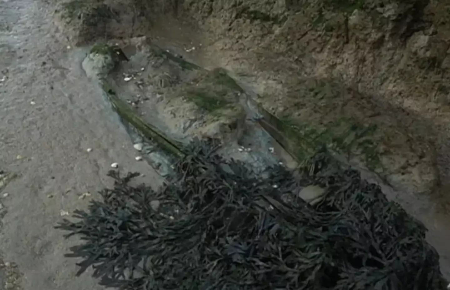 The bodies of the diseased prisoners were forgotten for 200 years (BBC)