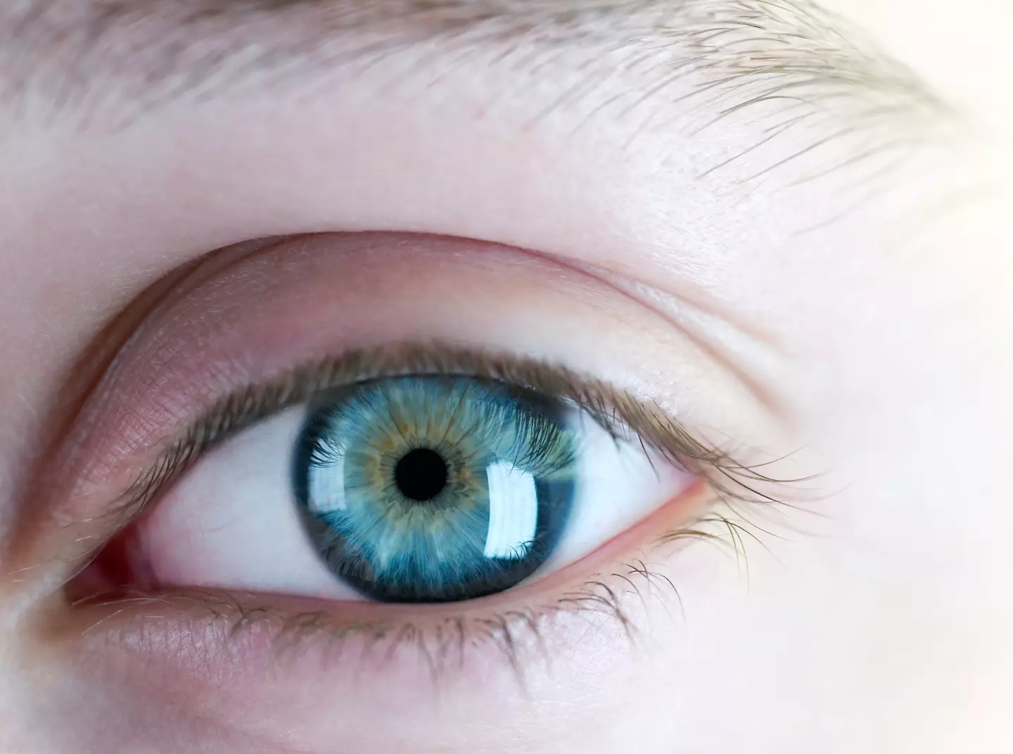 Everyone with blue eyes is apparently descended from the same person.