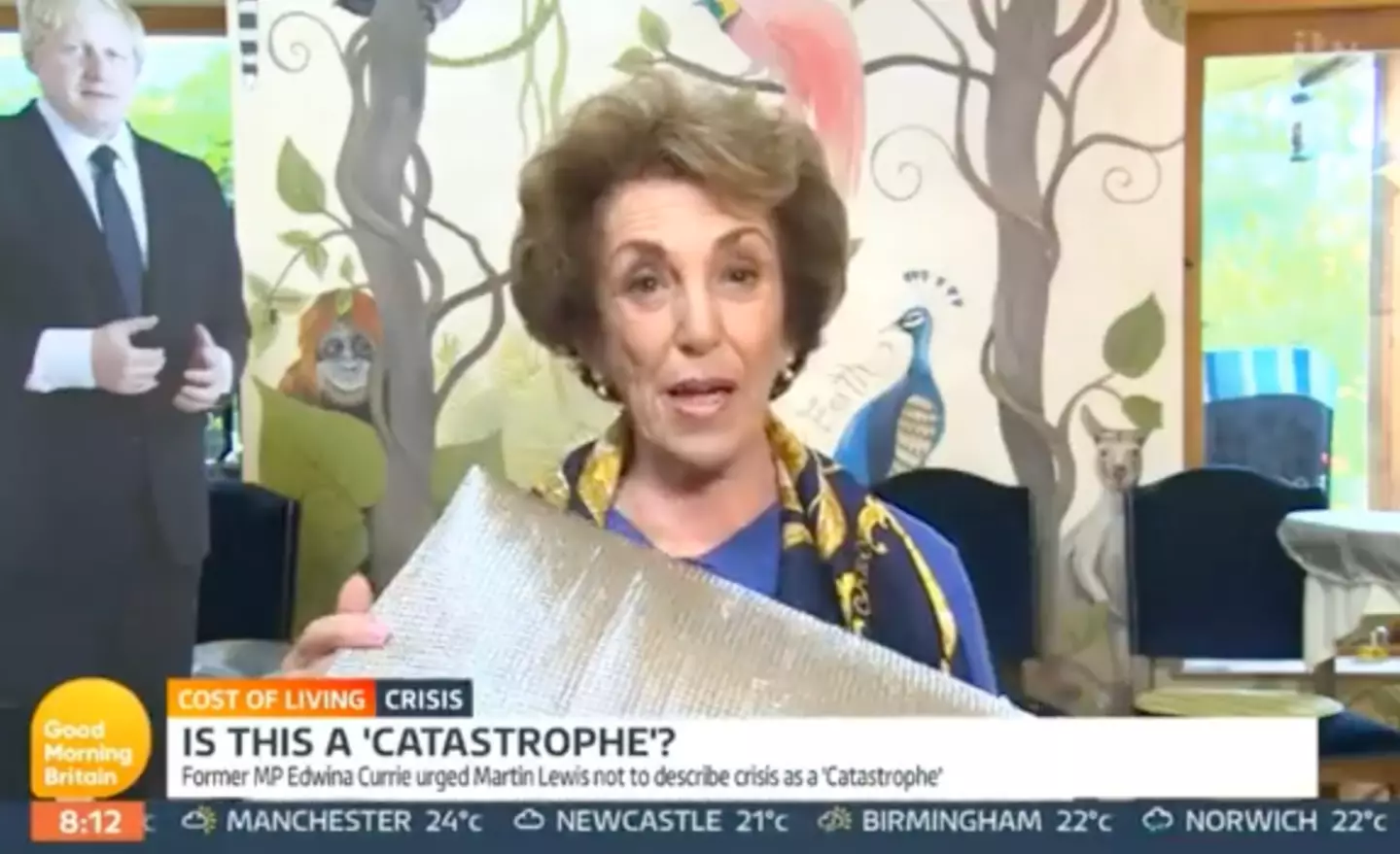 People criticised Edwina Currie's tip.