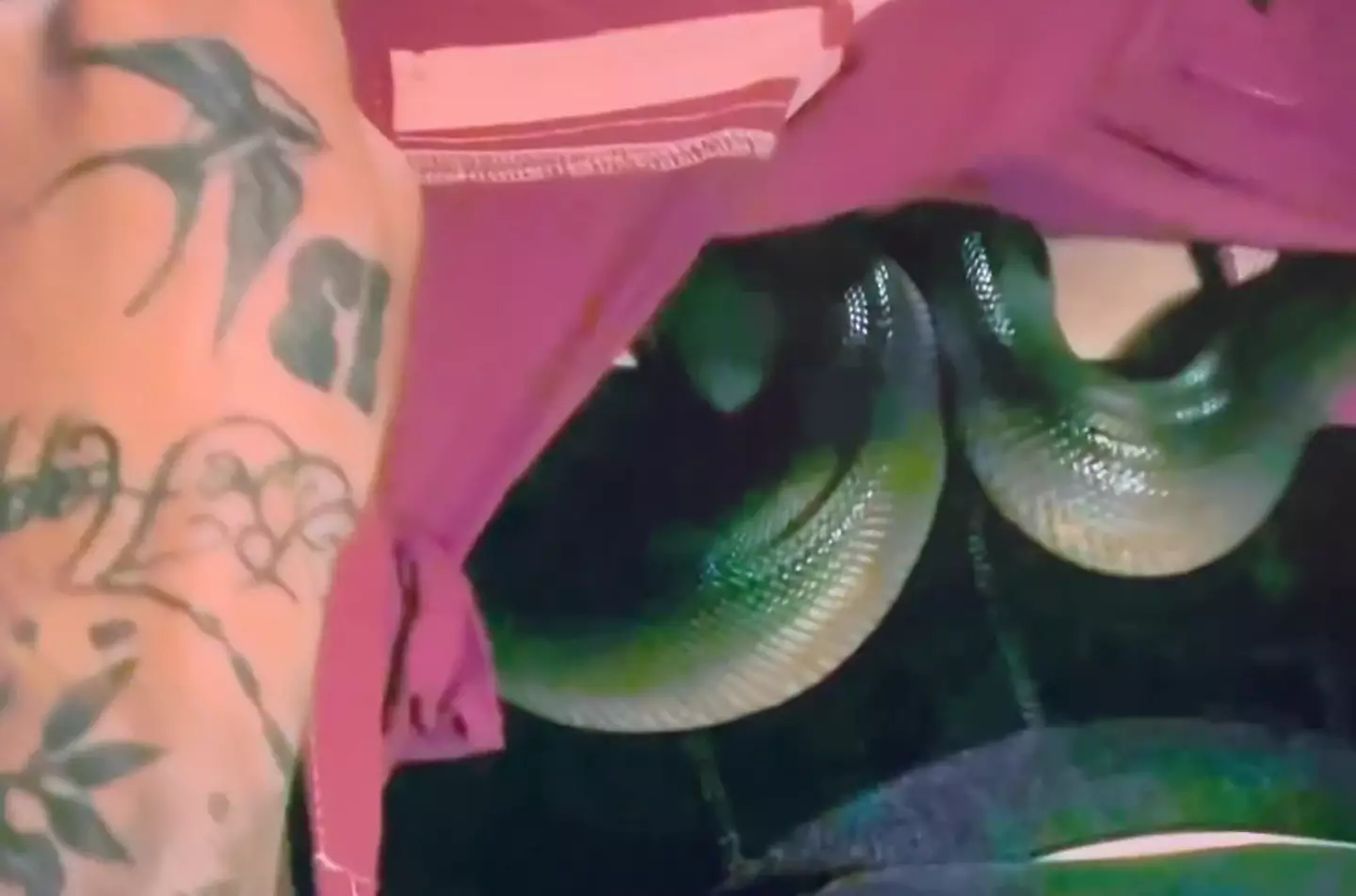 Ok, that's an actual snake curled up next to his nether regions (ITV)