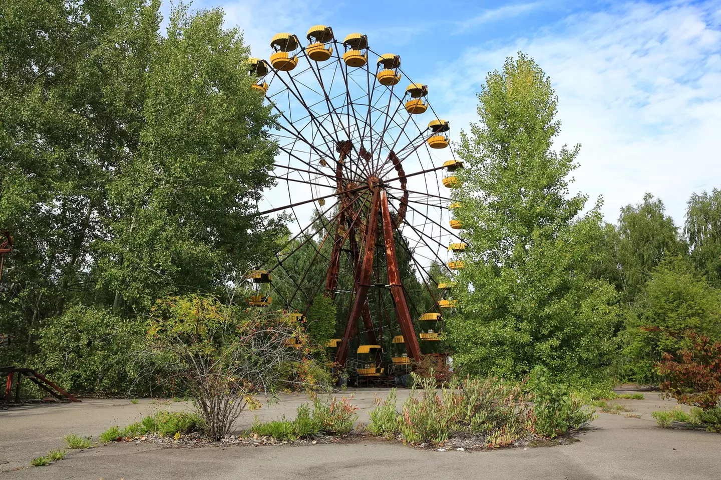 The famous ferris wheel.