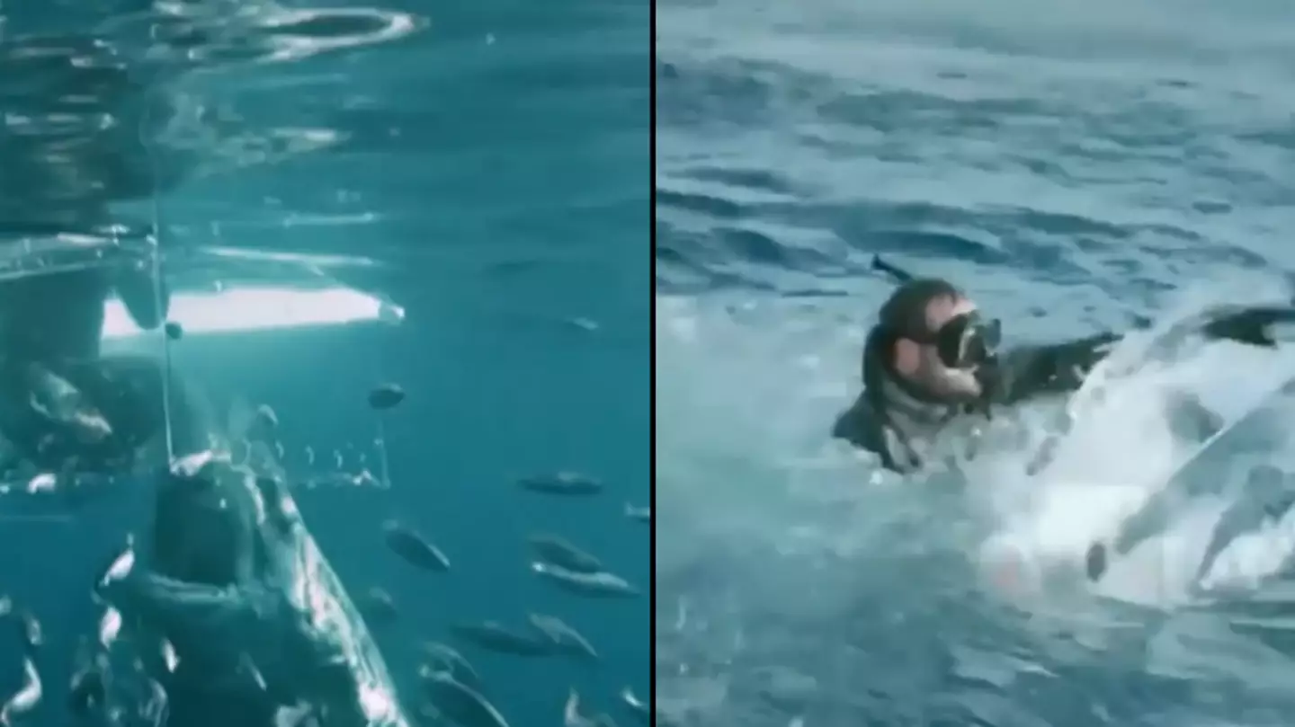 @sharkweek/ Instagram