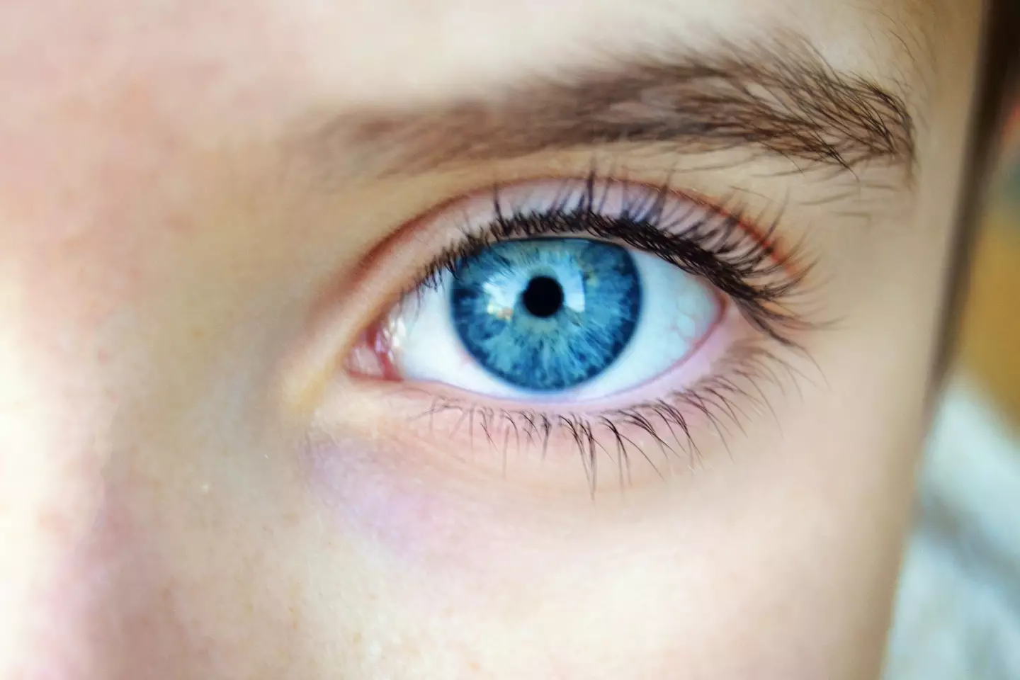 The 2008 study revealed some interesting information about the origin of blue eyes (Getty Stock Image)