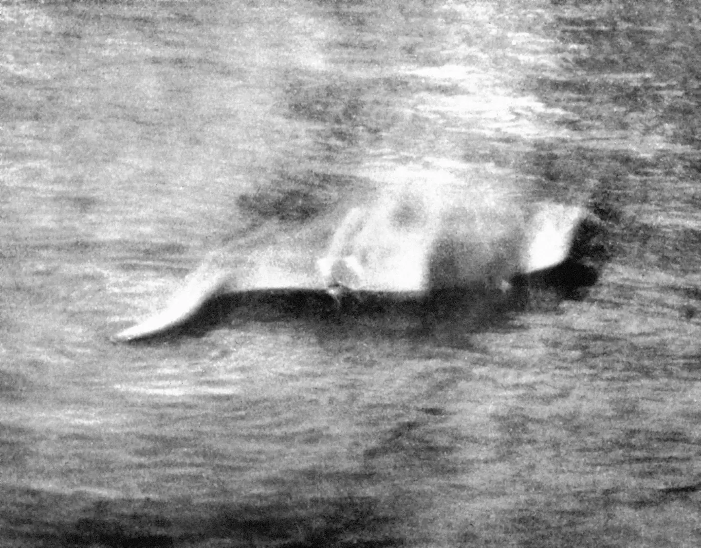 The first image captured of 'Nessie'.