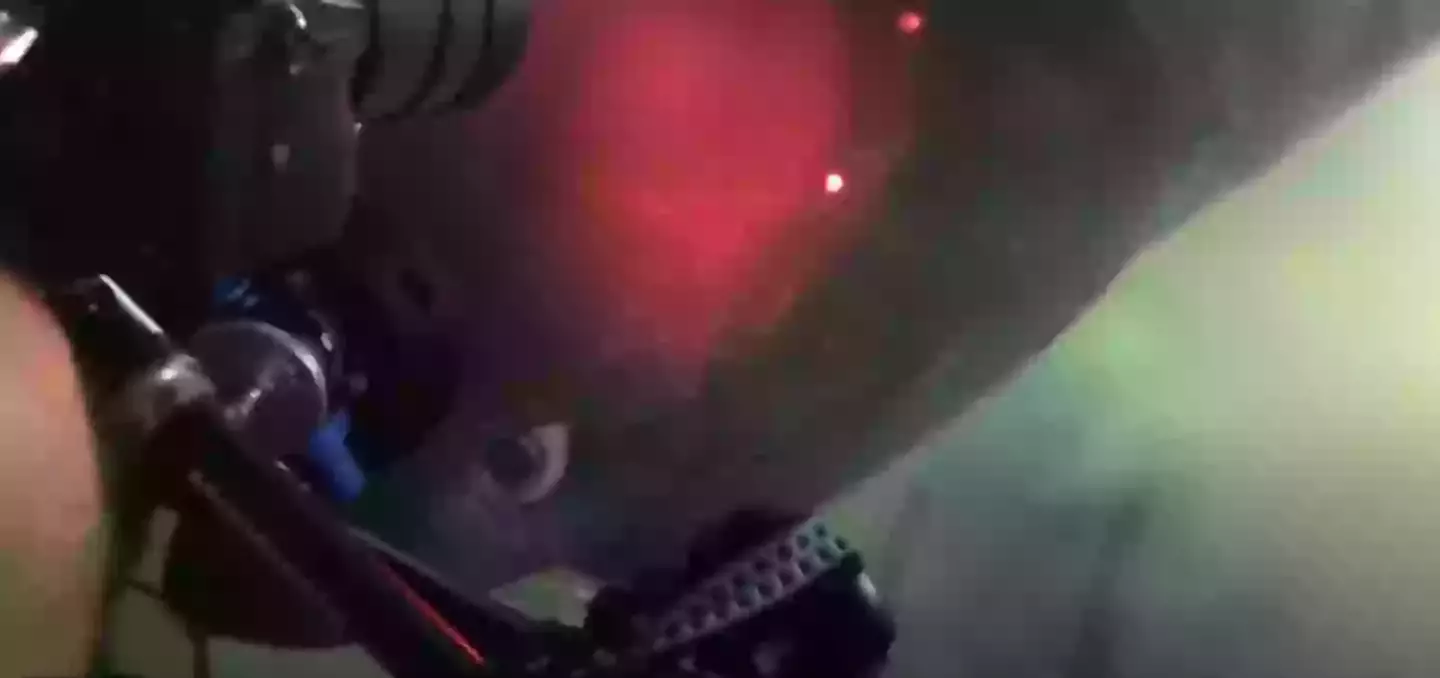 The shark's pupils were deep green as it glanced up (Youtube/OceanX)