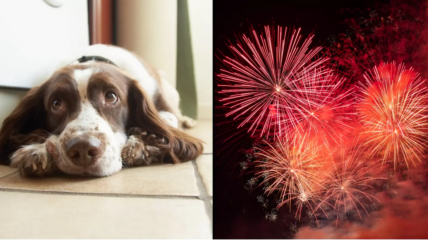 Getty Stock Photos