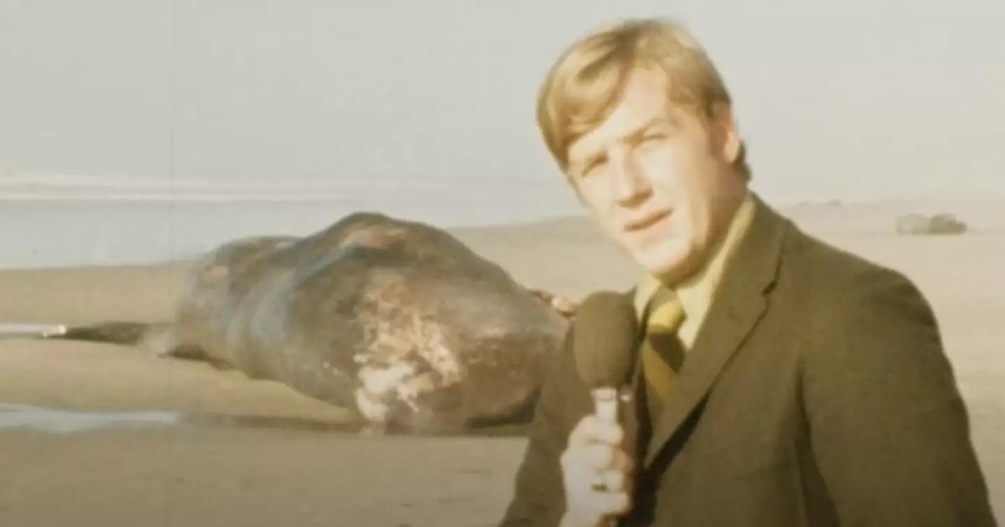 The exploding whale incident will never be forgotten. (darkrecords/YouTube)