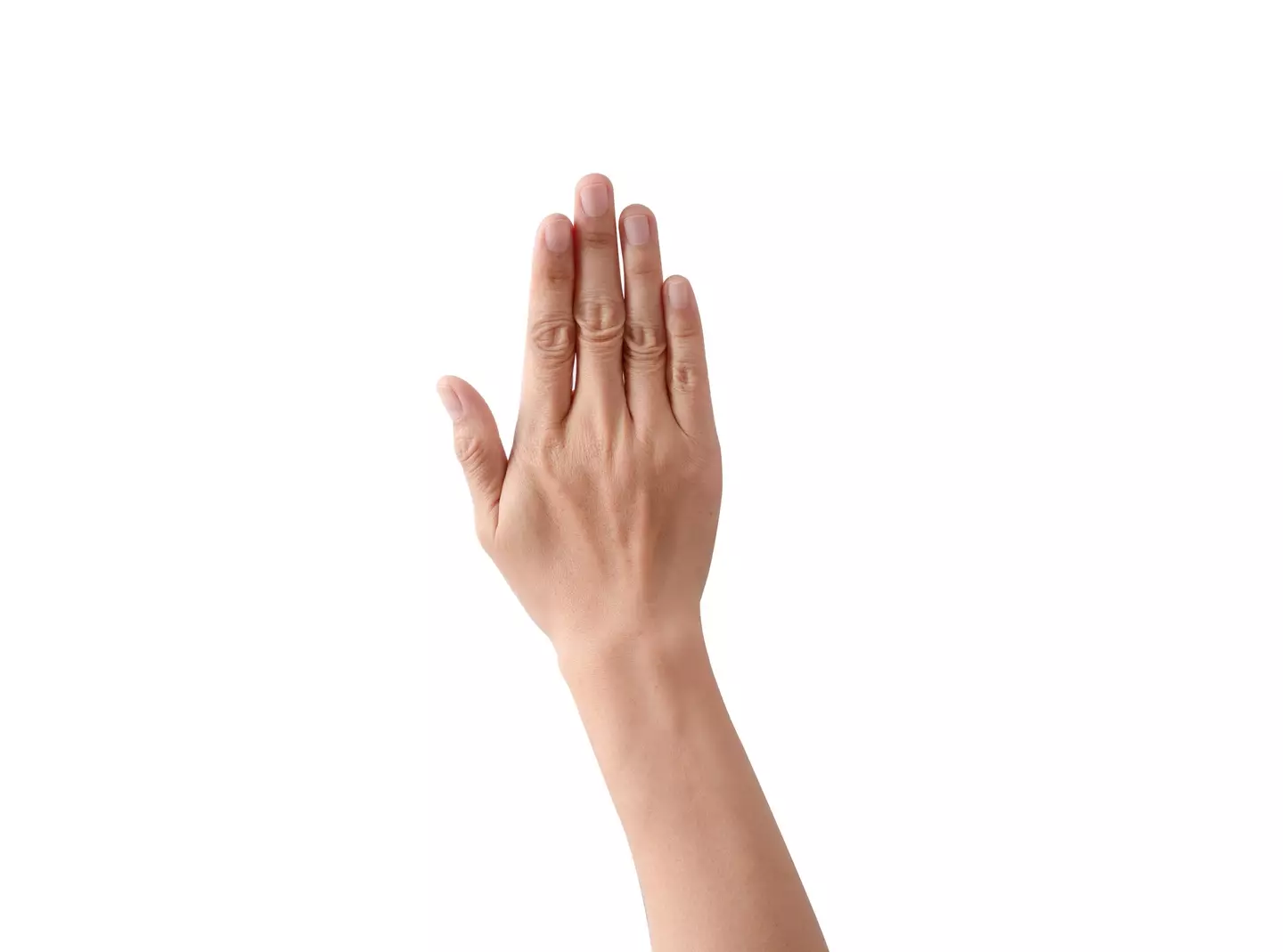 The study took a close look at the index finger and the ring finger (Getty Stock Images)