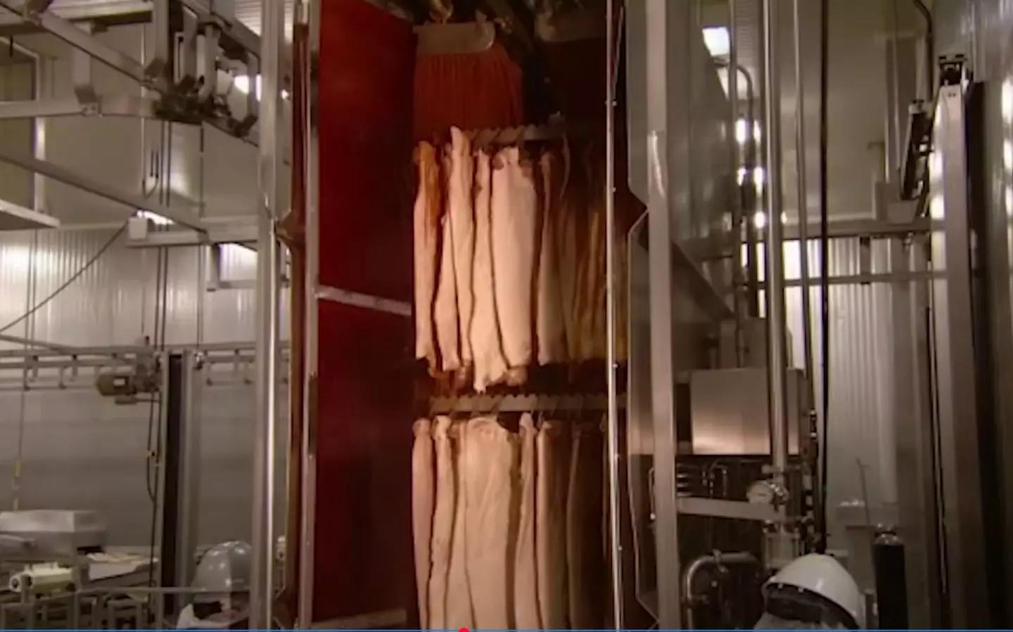 The 'shower of liquid smoke' left viewers stunned (YouTube/Discovery UK)