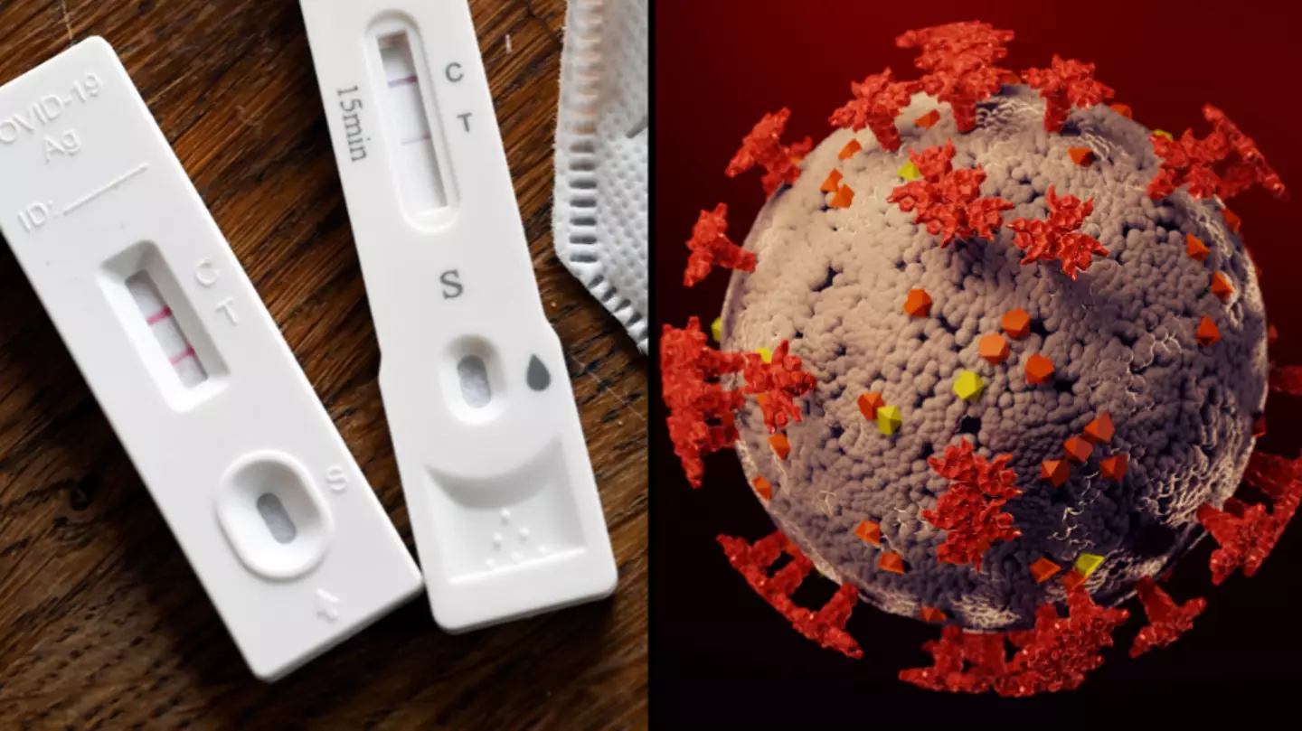 dpa picture alliance / Alamy.  Vladimir Arndt / Alamy.