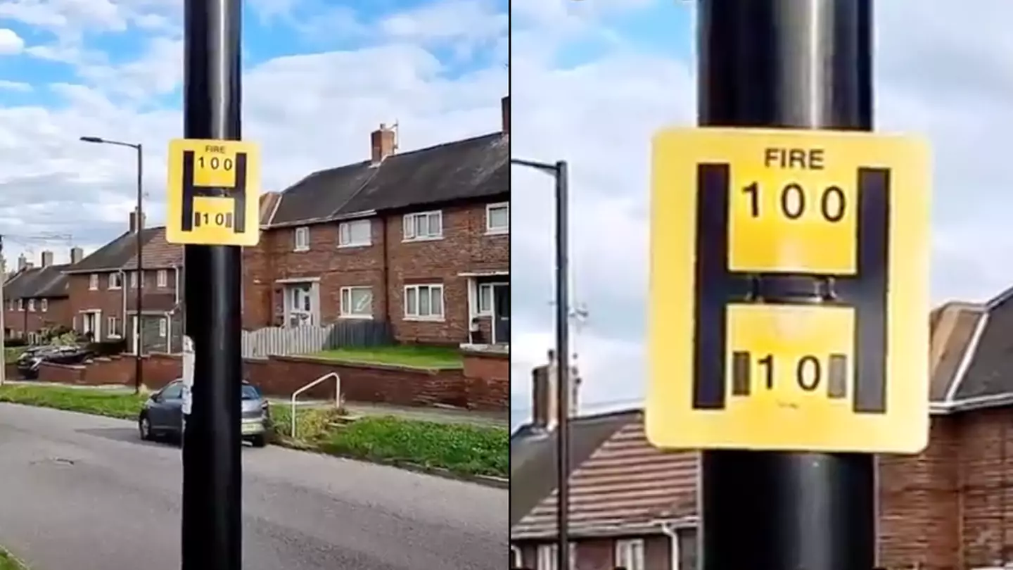 People have only just found out what the H on lampposts means