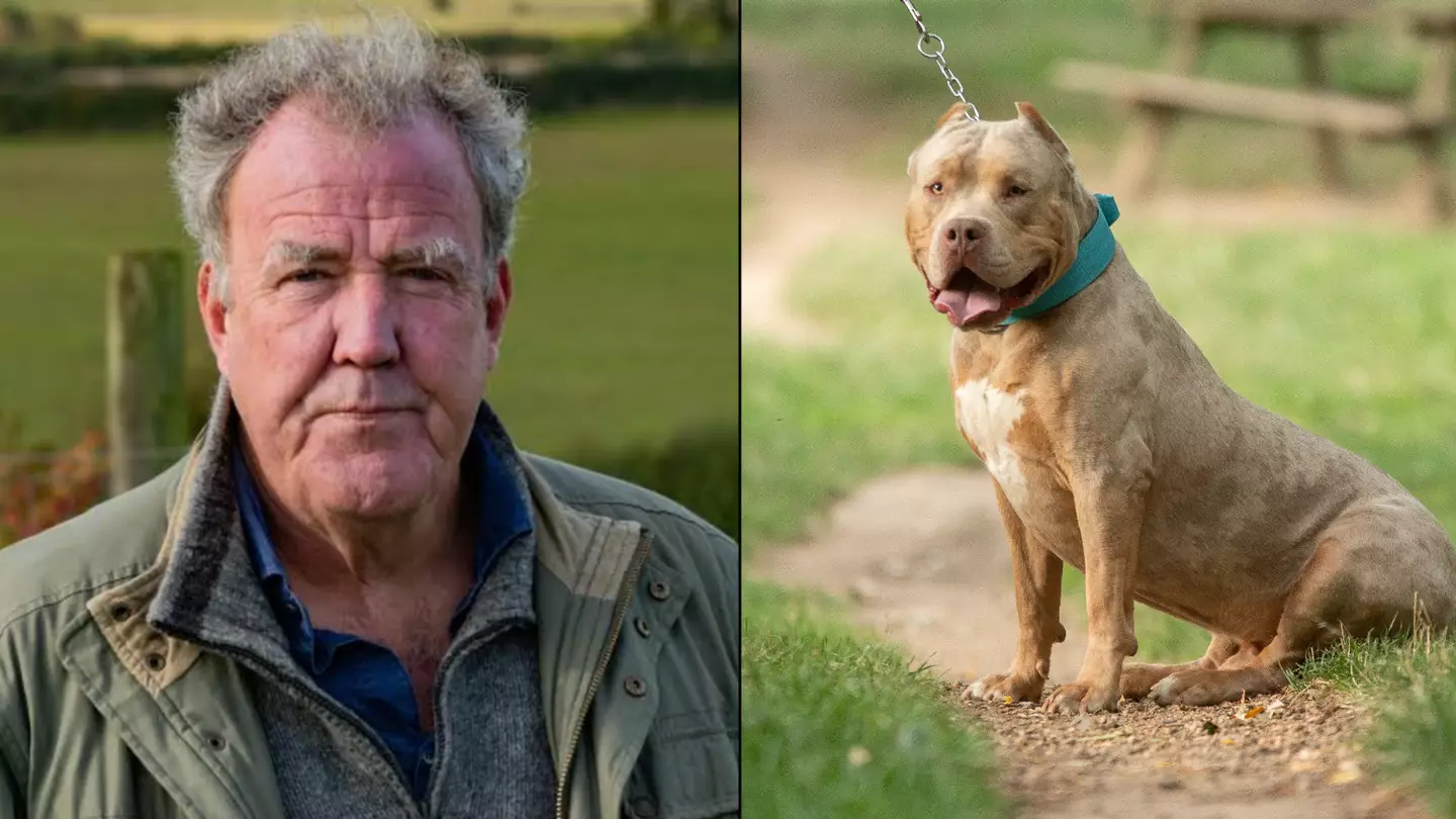 Jeremy Clarkson warns XL Bully ban will only lead to new breed XL ’Wolftronic’