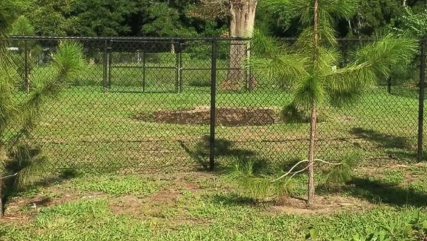 Sinkholes are unfortunately common in Florida.