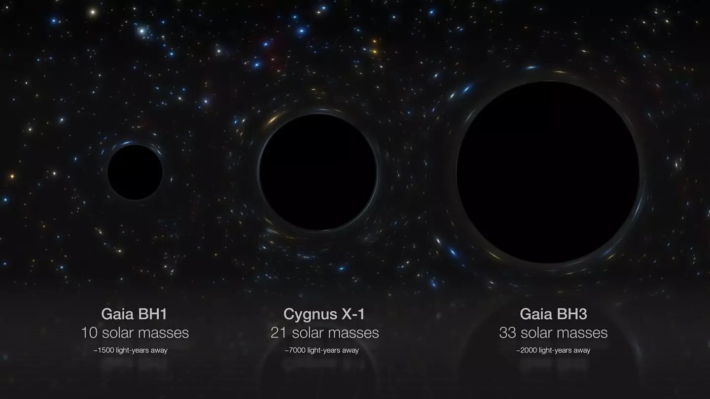 This artist’s impression compares side-by-side three stellar black holes in our galaxy: Gaia BH1, Cygnus X-1 and Gaia BH3, whose masses are 10, 21 and 33 times that of the Sun respectively (ESO/M. Kornmesser)