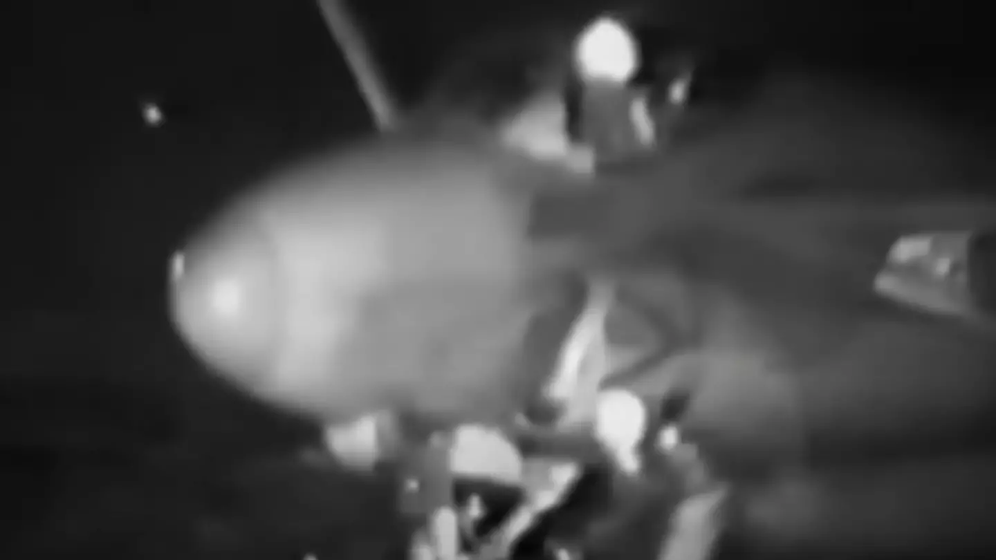 Terrifying footage shows moment man nearly dies after being sucked into a jet engine