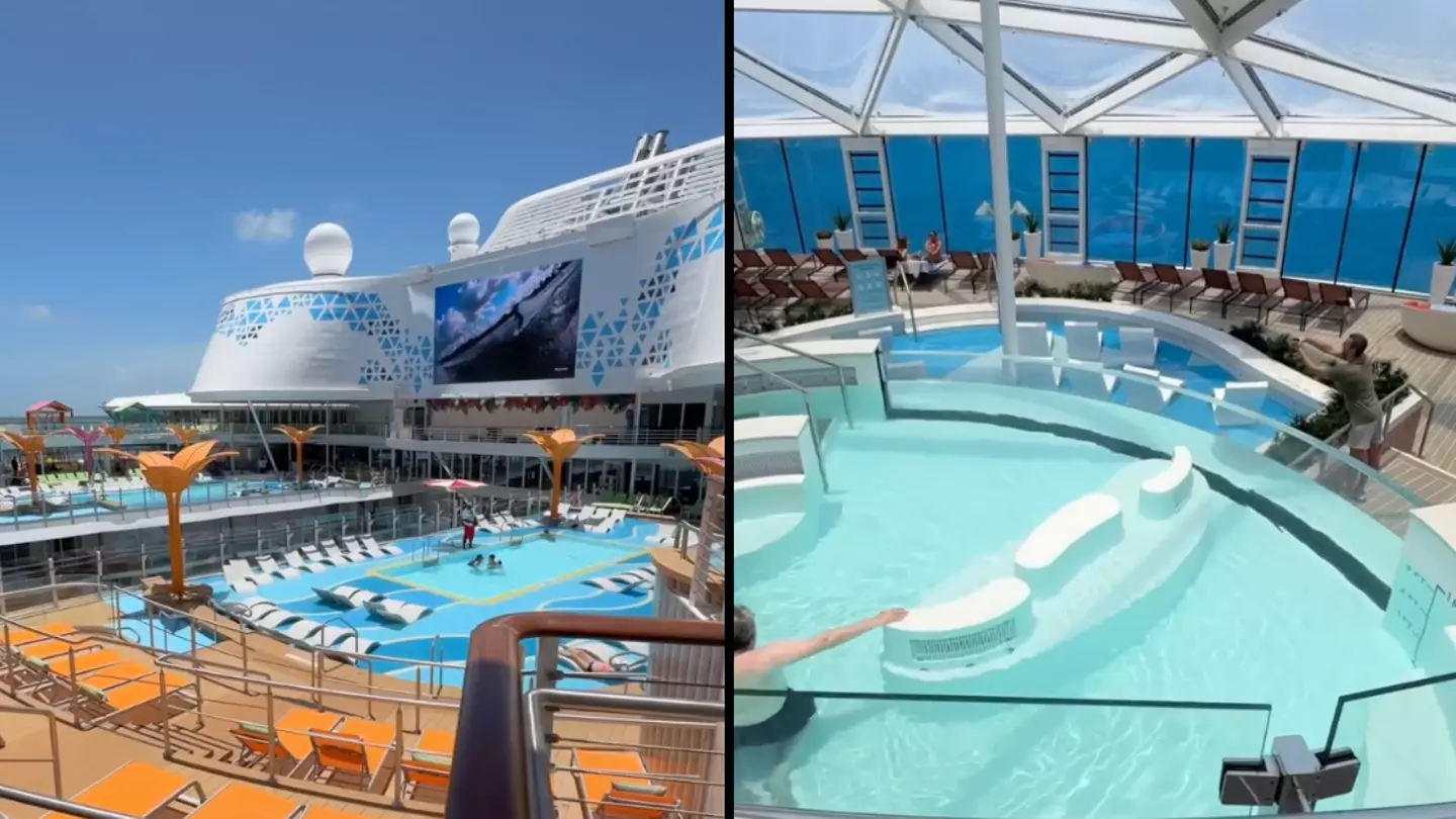 Cruise ship fans think they know why 'hated' new feature is on £1 billion boat