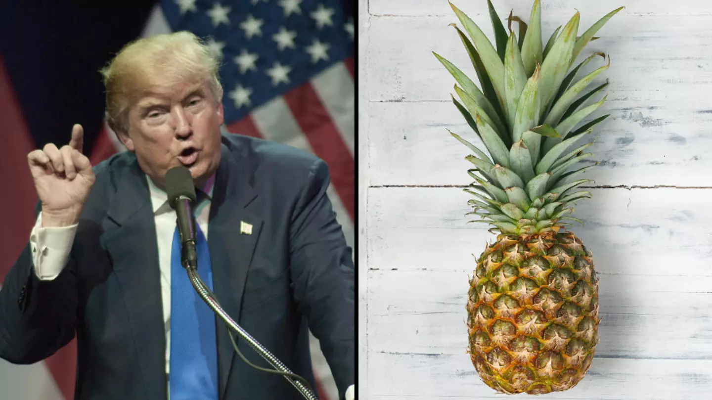 Donald Trump Testified He Feared He Would Be Killed By A 'Very Dangerous' Flying Pineapple