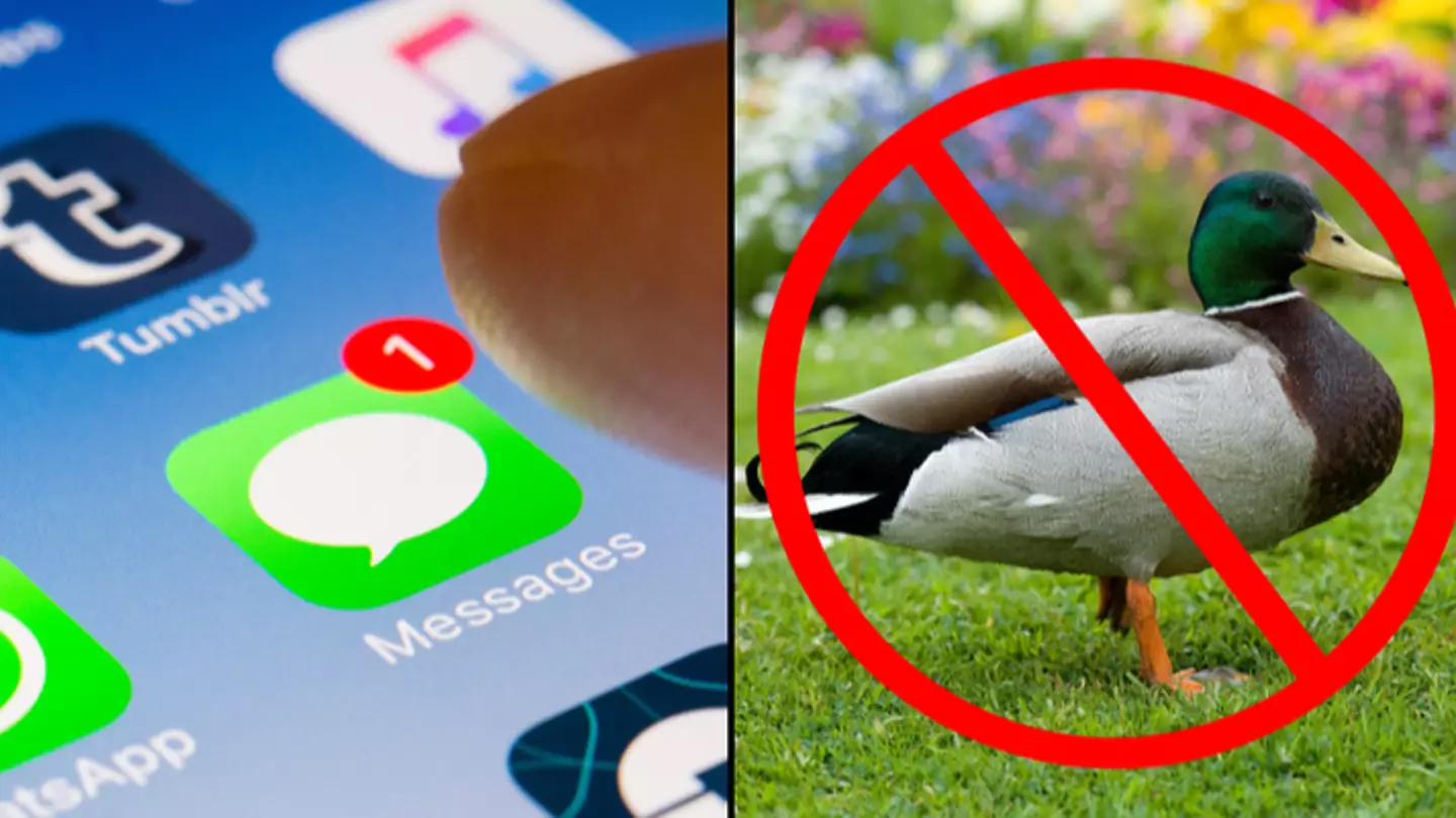 Apple reveals iPhones will finally stop autocorrecting ‘f**k’ to ‘duck’