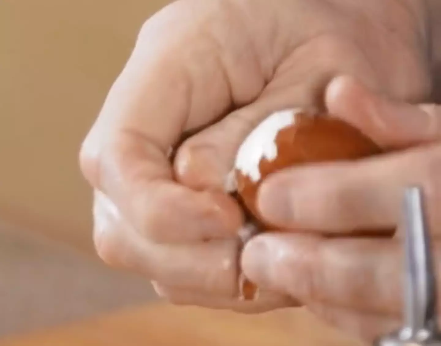 Gordon's trick allowed him to easily peel eggs.