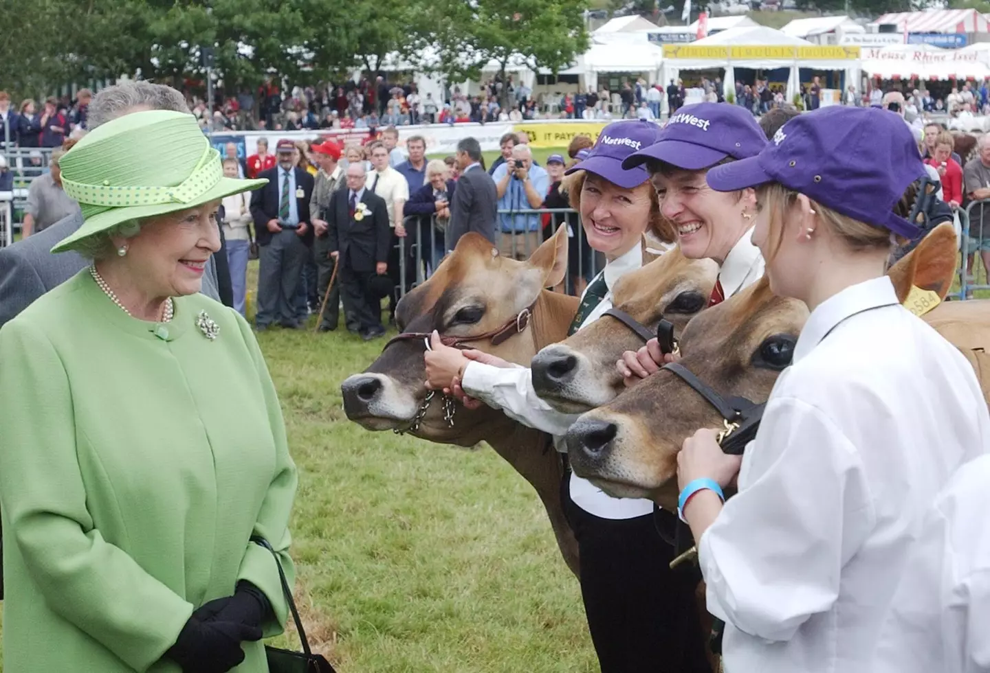 Here's the Queen, admiring more cows.