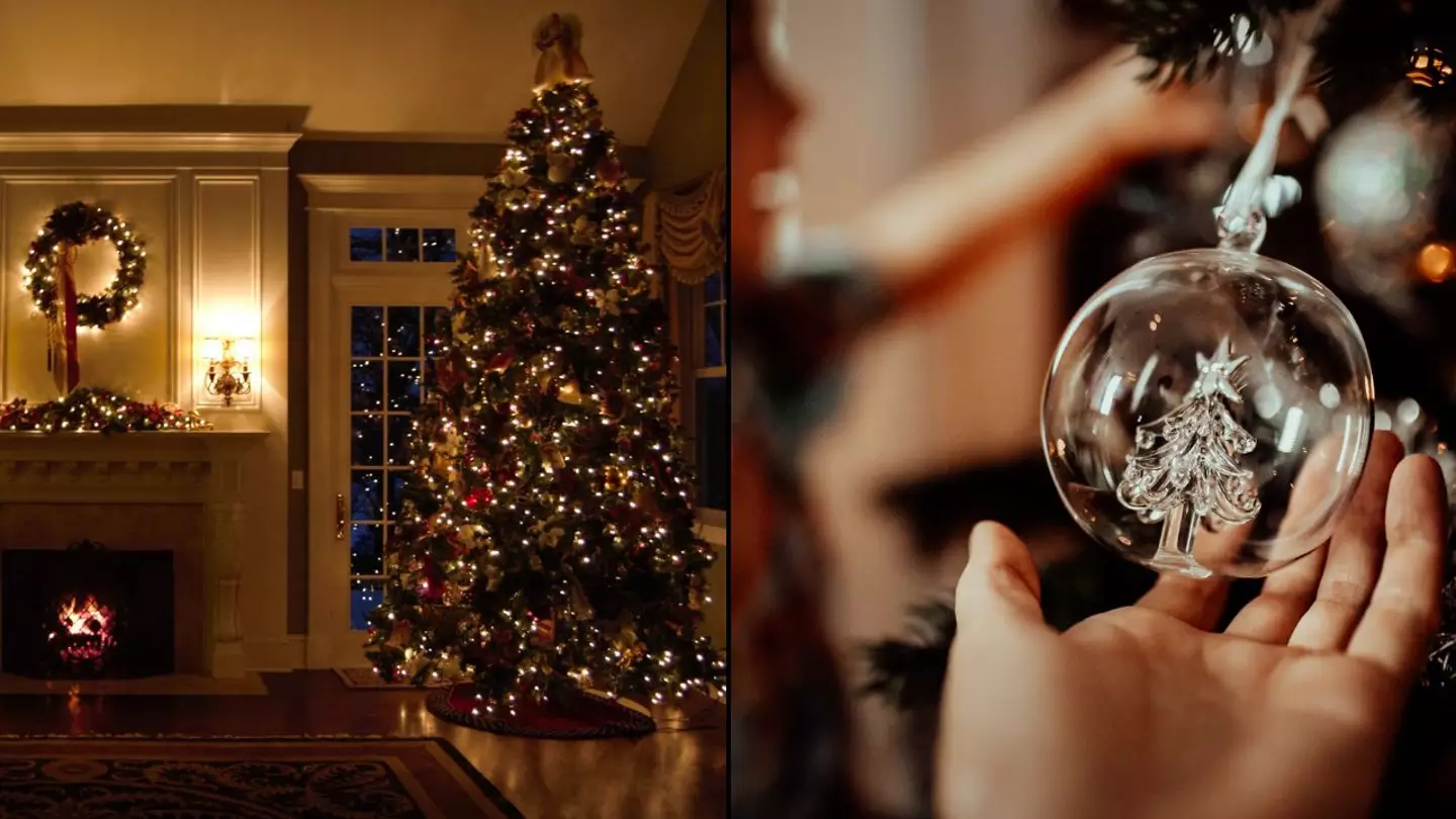 Martin Lewis reveals hack to cut Christmas light running costs down this festive season