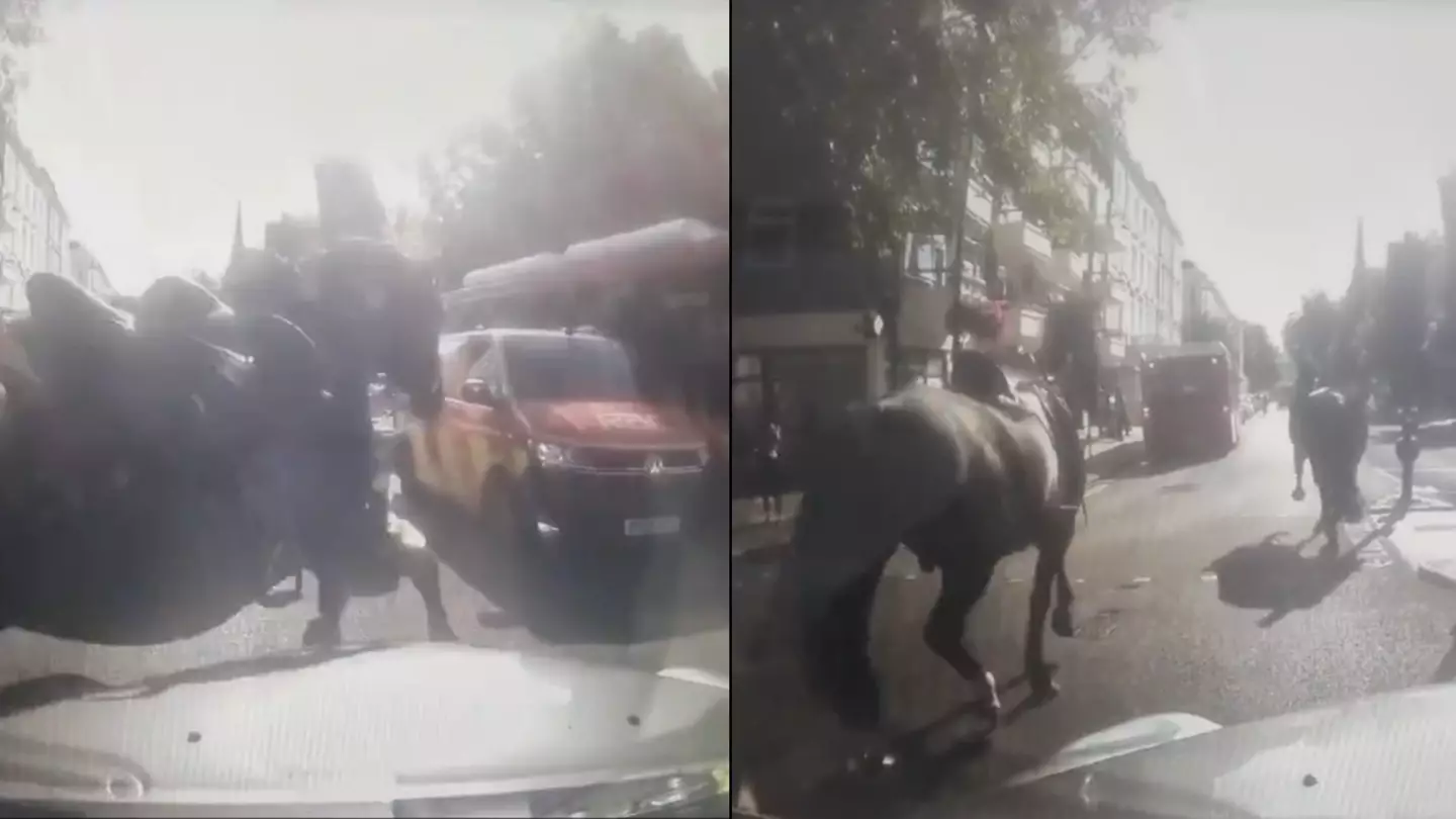 Chaotic scenes as horses from King's Guard bolt through London again after breaking free from riders