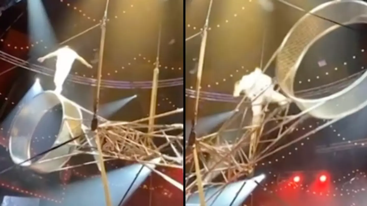 Horror as acrobat falls from ‘Wheel of Death’ in circus act gone wrong