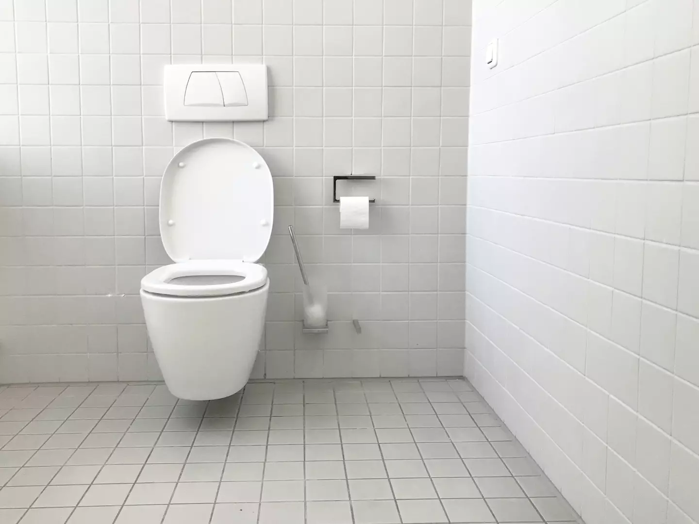 Do you ever flush the toilet with the lid up? (Jan Antonin Kolar on Unsplash)