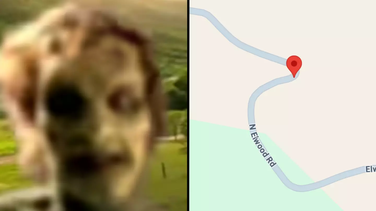 Creepy thing happens when you search location of iconic 'ghost car' video on Google Maps