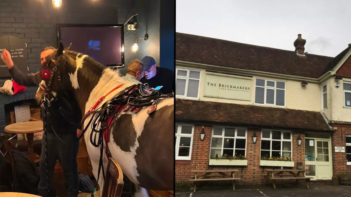Landlord furious after punter brings horse into pub for a pint