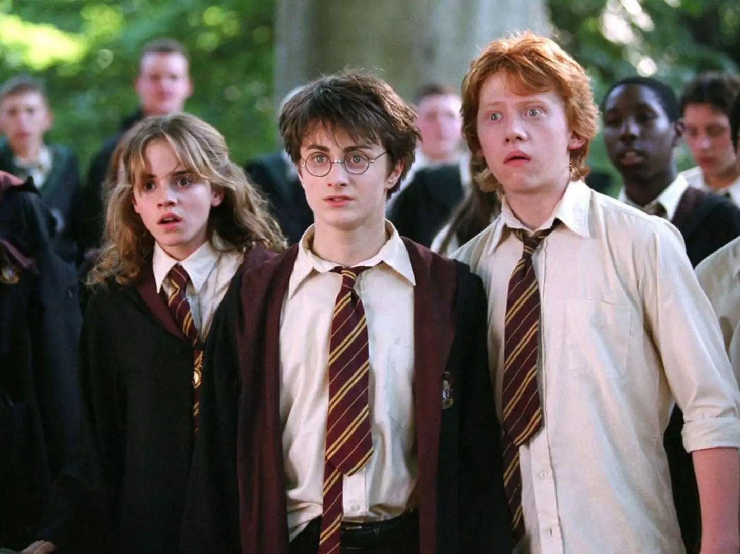 The actor said his character in Nightborn 'goes against the warmth of Ron' (Warner Bros)