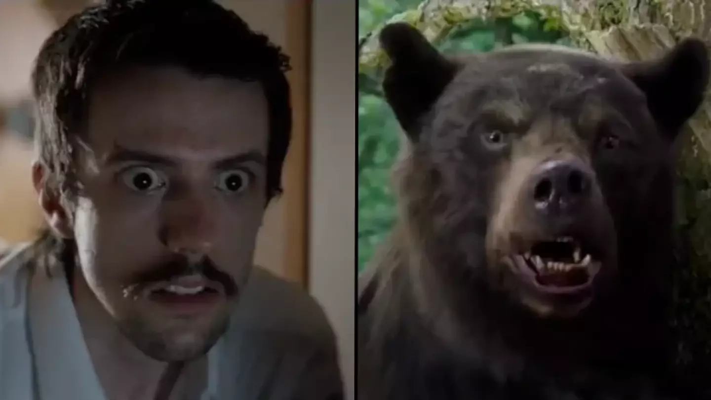 Trailer drops for bizarre true story about bear who consumed 30kg of cocaine