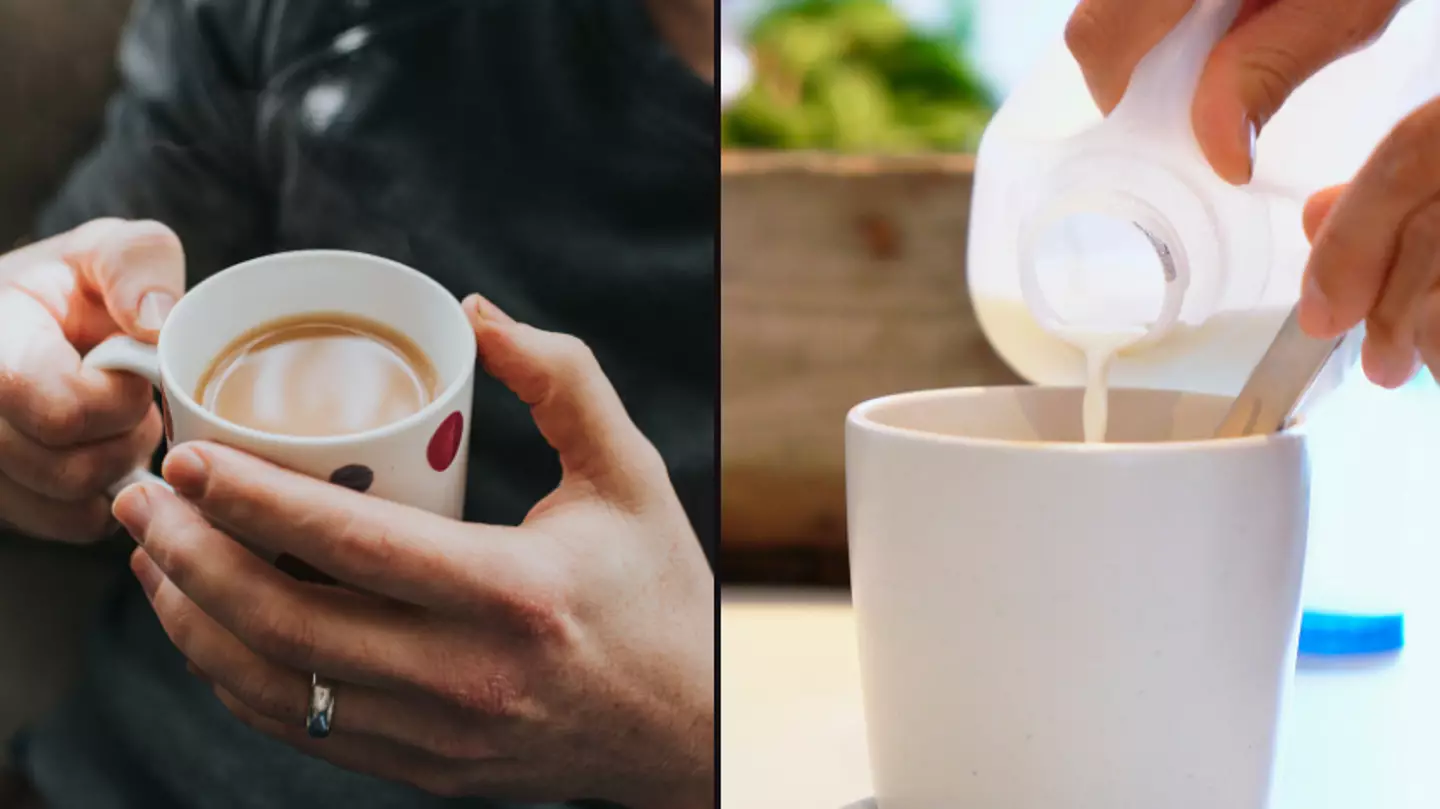 Scientist finally answers debate of whether you should put milk or water in tea first
