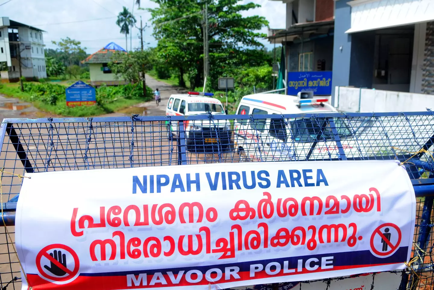 The virus is contagious, deadly and has no cure (C. K Thanseer/DeFodi images via Getty Images)