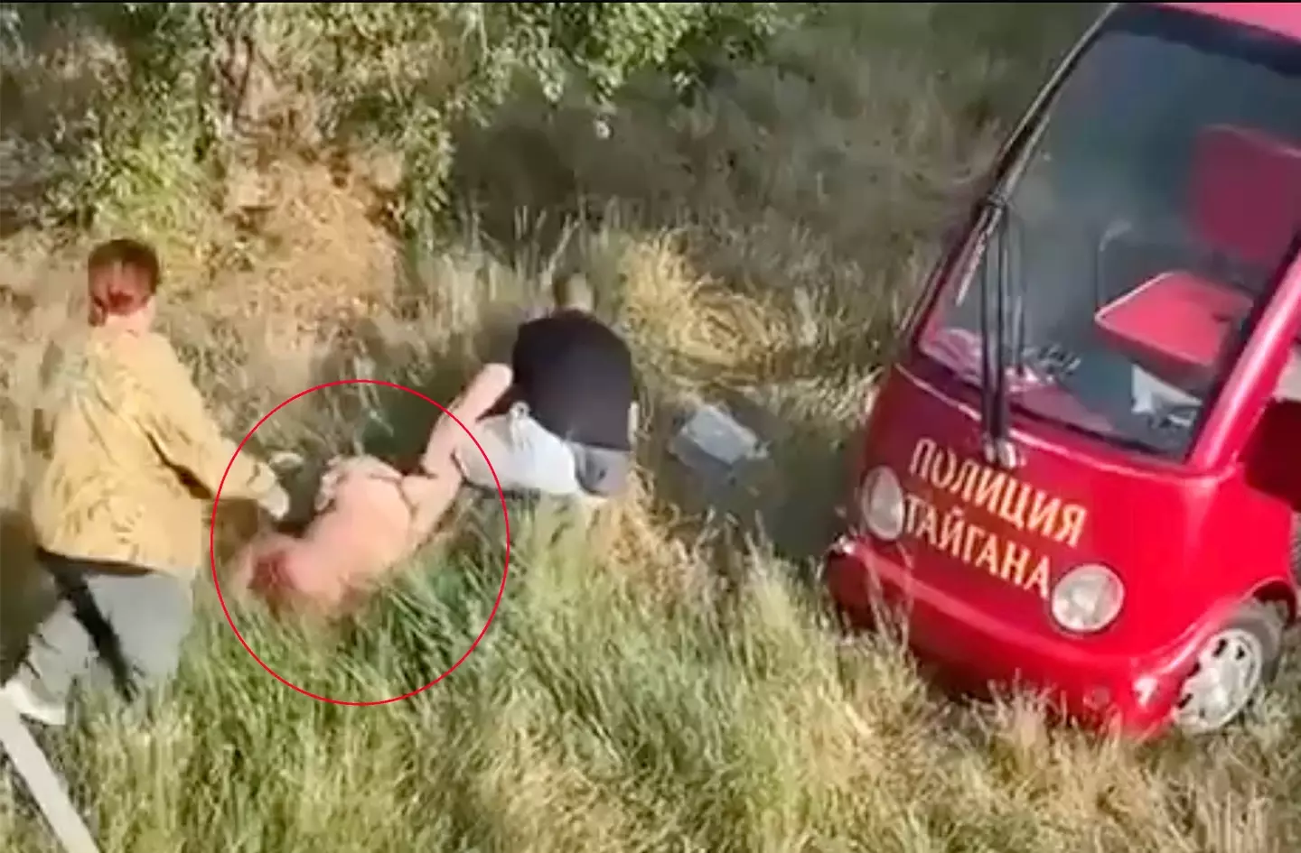 The lion which attacked Zubkov had reportedly killed another member of staff at the park (East2West)