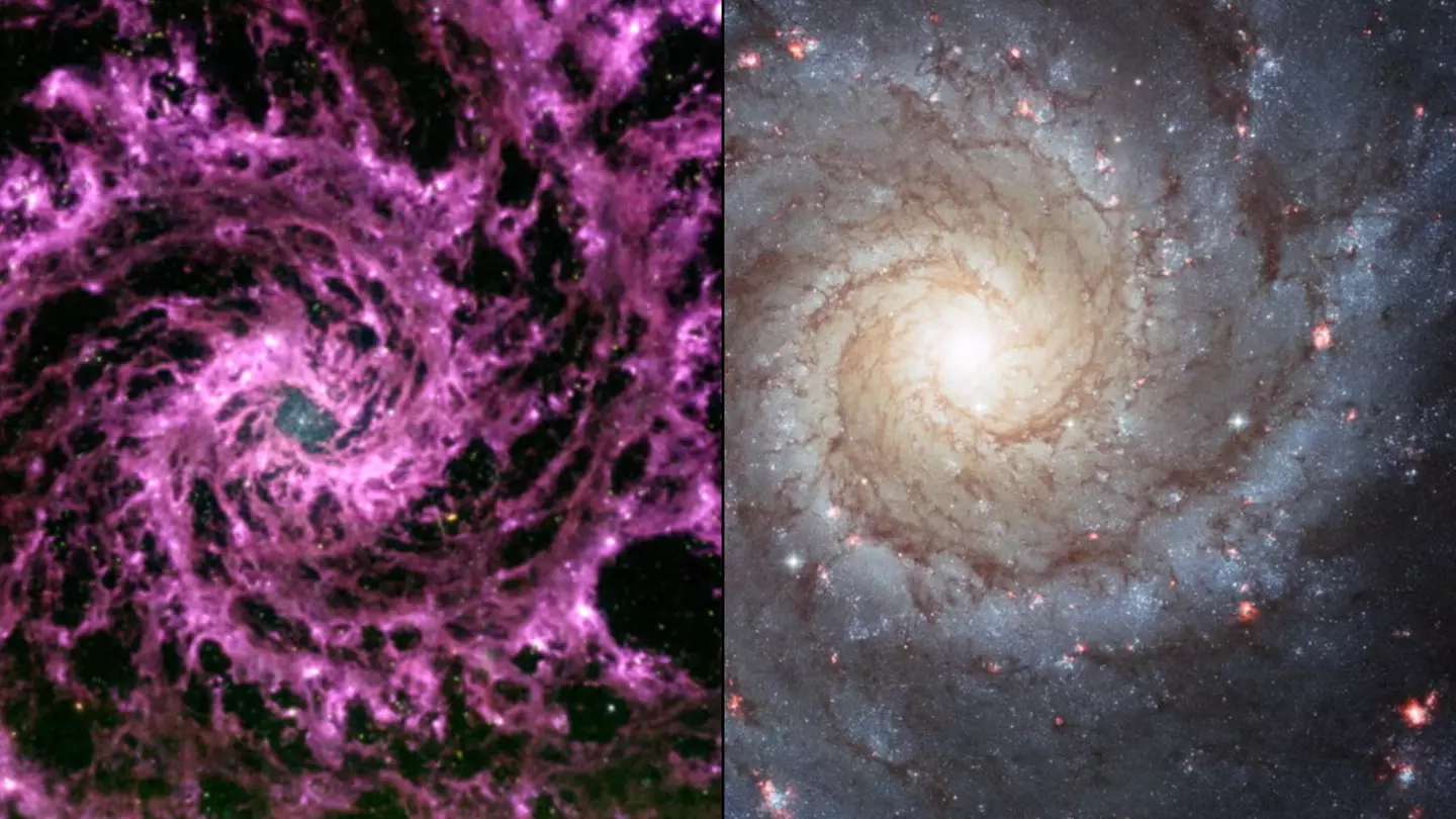 NASA's James Webb telescope discovered a purple galactic swirl which looks like a multiverse portal