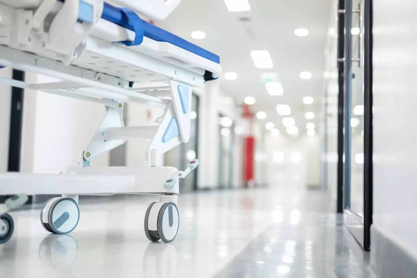 There has been two confirmed cases in West Bengal (Getty Stock Images)