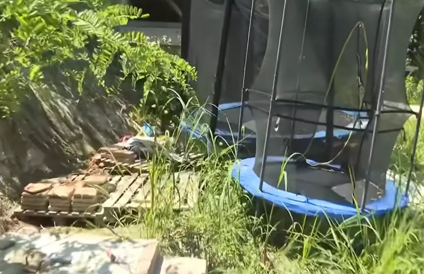 Police came to warn the family about a flood, they found a boy and girl who'd had no contact with the outside world (Newsflash)