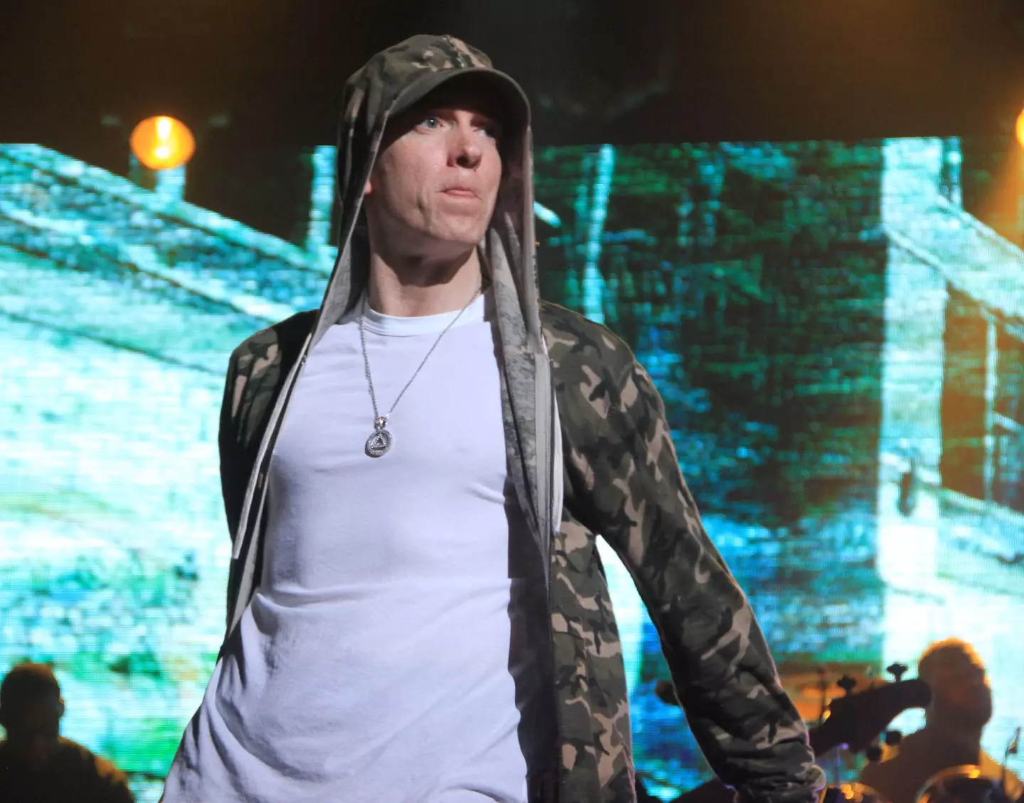 Eminem in 2013.