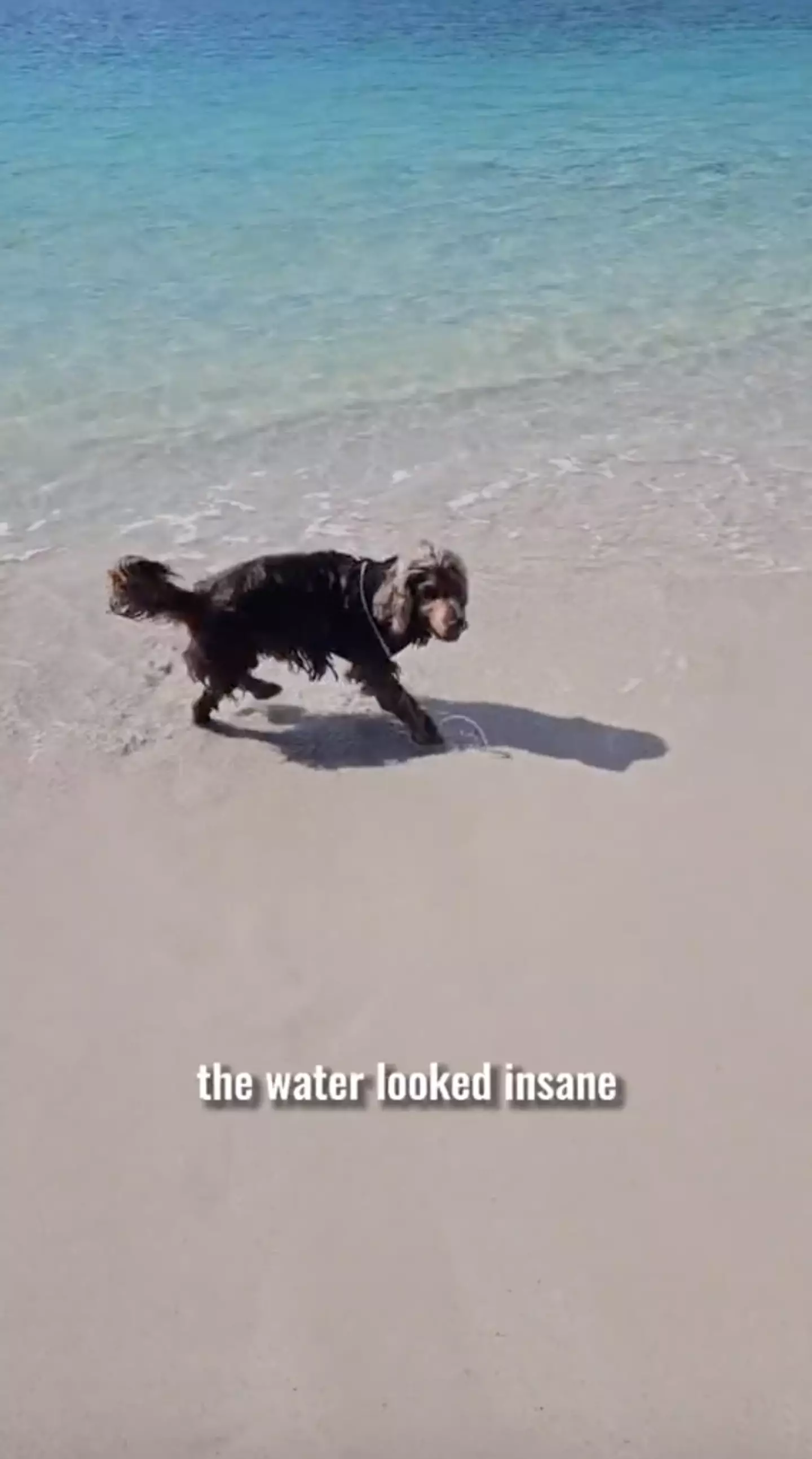 The pair went for a dip in the sea with their dog Fletcher after hiking to the hidden gem.